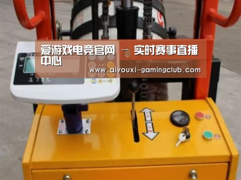 爱游戏电竞APP案例展示三