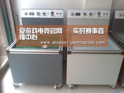 爱游戏电竞APP案例展示二