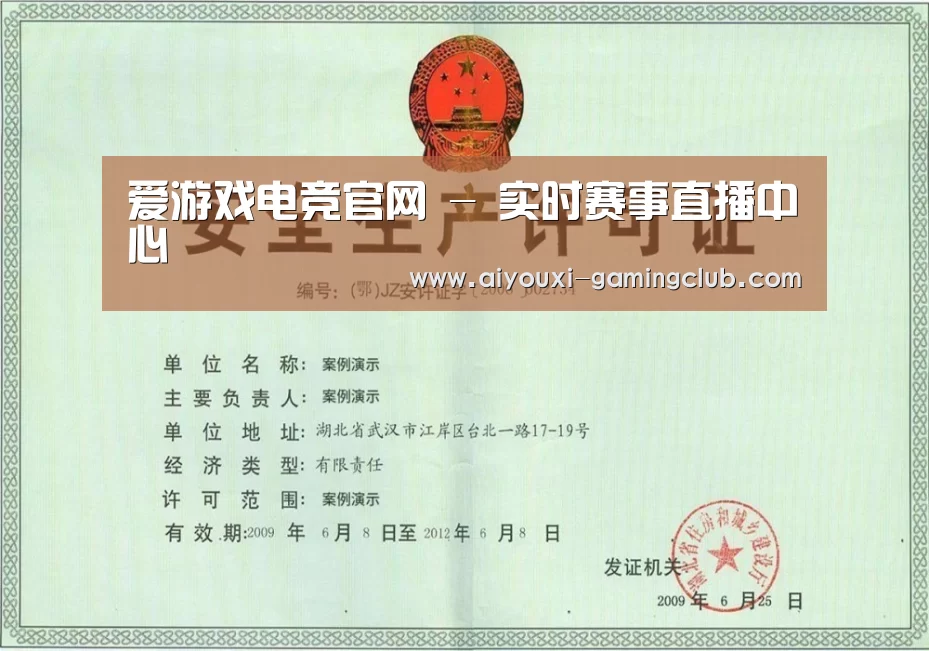 爱游戏电竞APP荣誉证书三