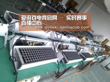 爱游戏电竞APP案例展示一