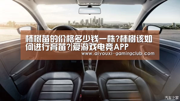 柿树苗的价格多少钱一株?柿树该如何进行育苗?|爱游戏电竞APP(图4) 爱游戏电竞竞猜平台