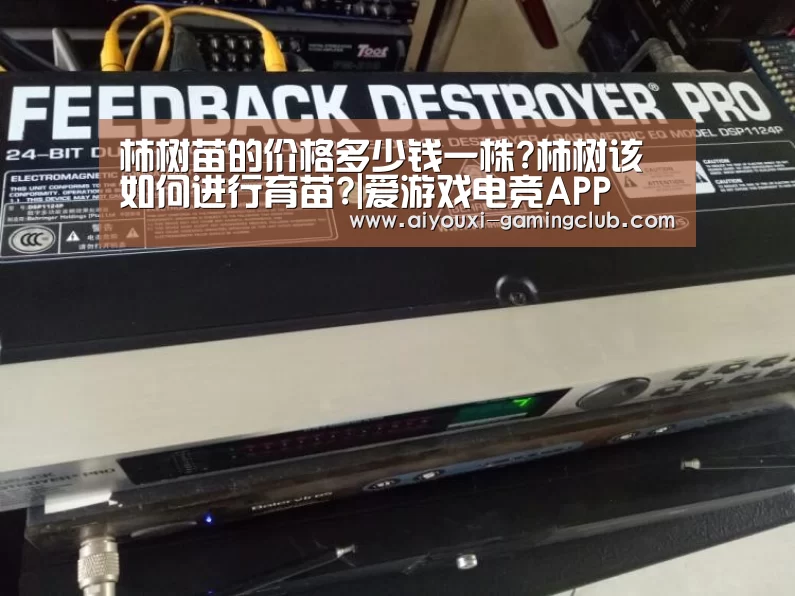 柿树苗的价格多少钱一株?柿树该如何进行育苗?|爱游戏电竞APP(图2) 爱游戏电竞娱乐平台