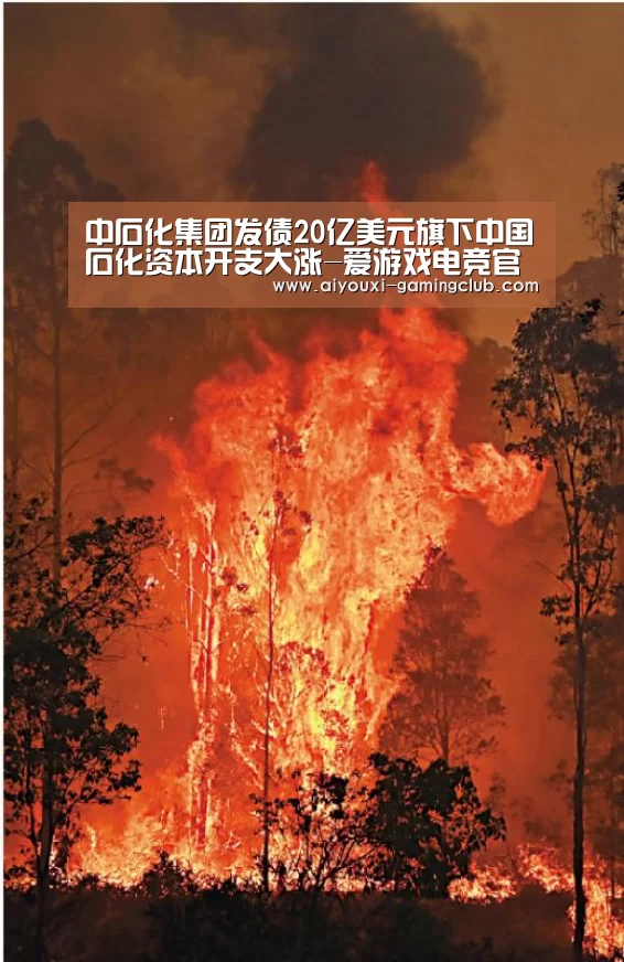 中石化集团发债20亿美元旗下中国石化资本开支大涨-爱游戏电竞官网(图2) 爱游戏电竞APP