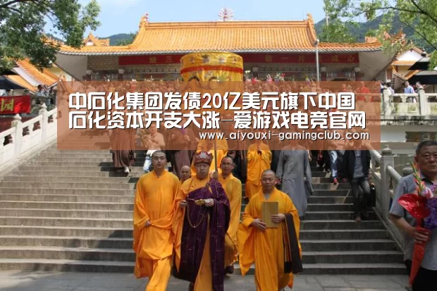 中石化集团发债20亿美元旗下中国石化资本开支大涨-爱游戏电竞官网(图3) 爱游戏电竞官网