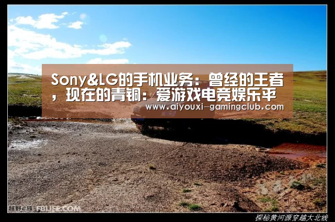 爱游戏电竞APP