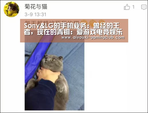爱游戏电竞竞猜平台