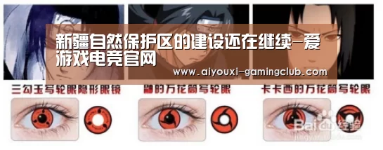 新疆自然保护区的建设还在继续-爱游戏电竞官网(图2) 爱游戏电竞官网